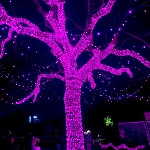 Meet your Posher, Leroy